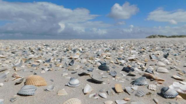 Rust Aan De Kust Holiday home *